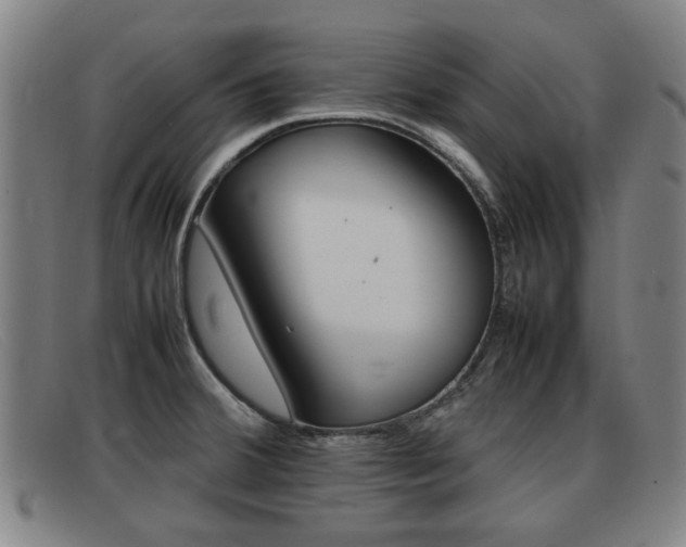 X0000092061380200709120957