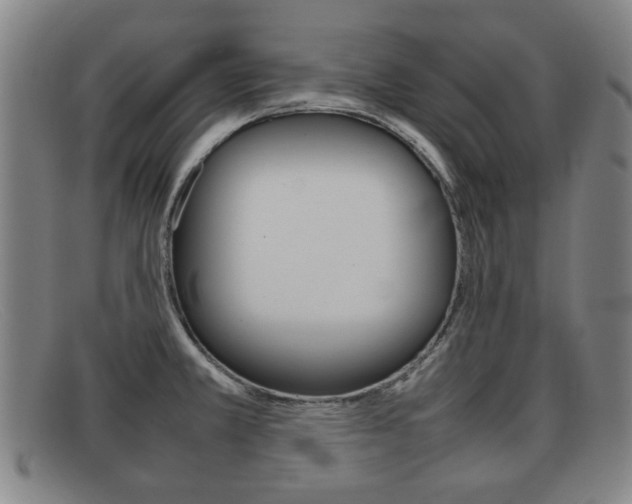 X0000092061381200709120957