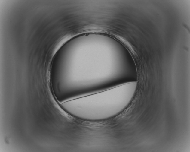 X0000092061383200709120957