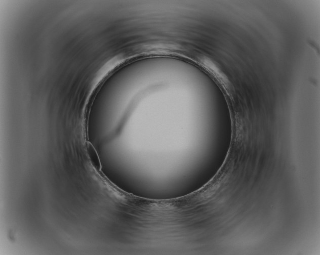 X0000092061384200709120957