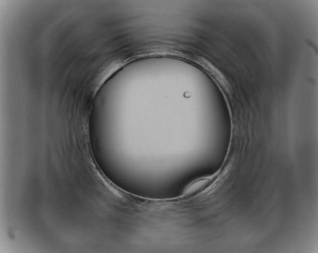 X0000092061385200709120957