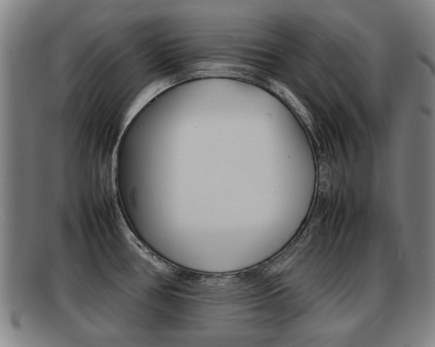 X0000092061386200709120957