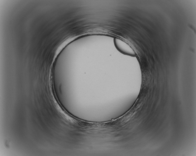 X0000092061387200709120957