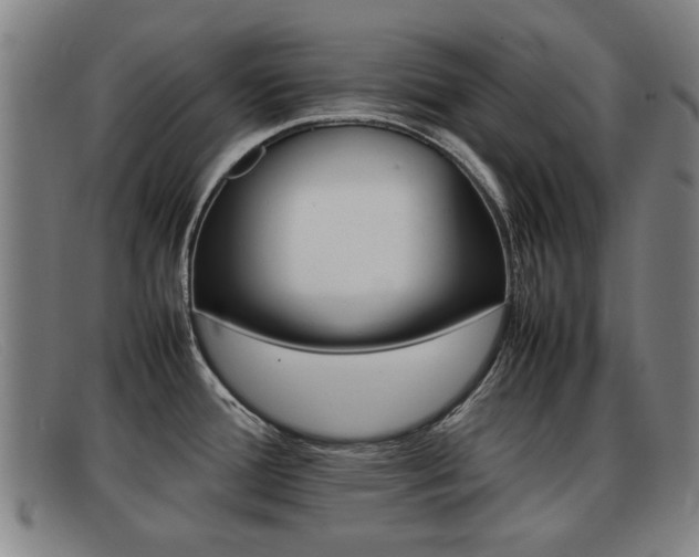 X0000092061388200709120957