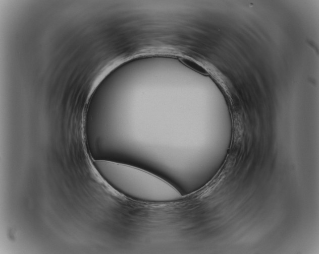 X0000092061390200709120957