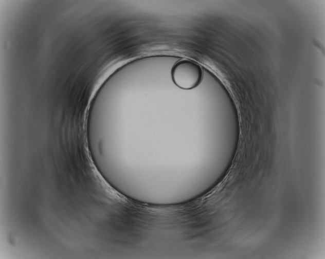 X0000092061392200709120957