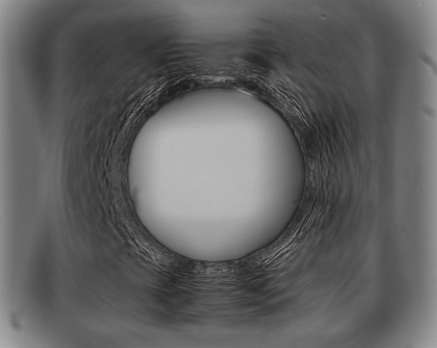 X0000092061393200709120956