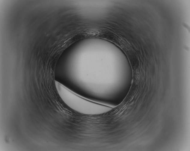 X0000092061394200709120956
