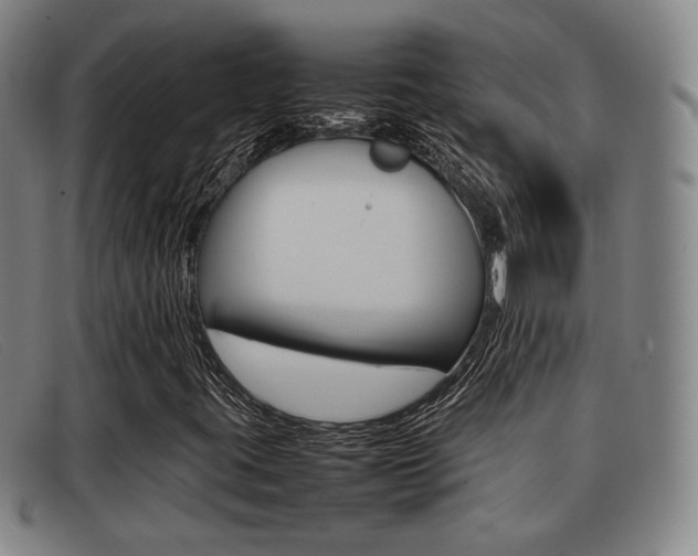 X0000092061395200709120956