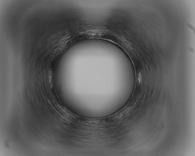 X0000092061396200709120956