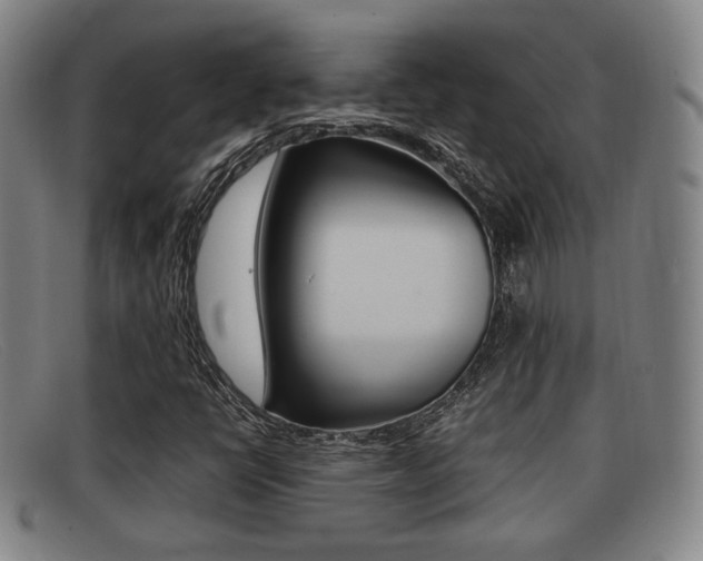 X0000092061398200709120956