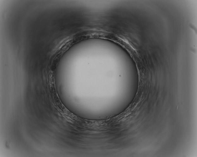 X0000092061399200709120956