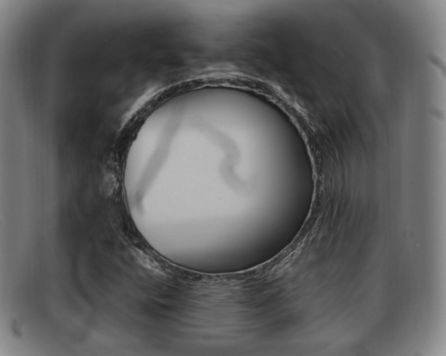 X0000092061400200709120956