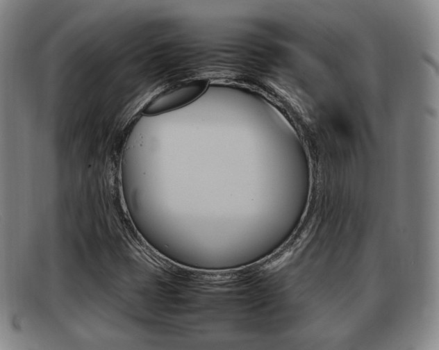 X0000092061401200709120956