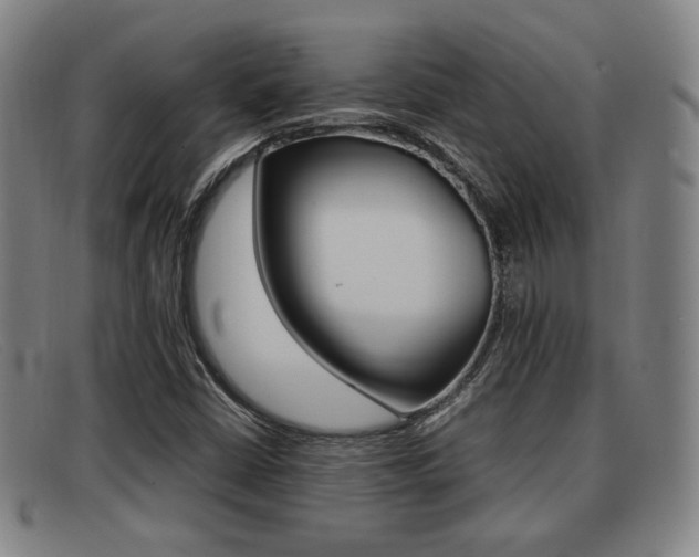X0000092061402200709120956