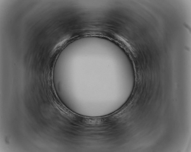 X0000092061403200709120956