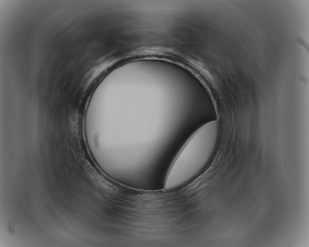 X0000092061404200709120956