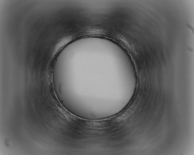 X0000092061405200709120956
