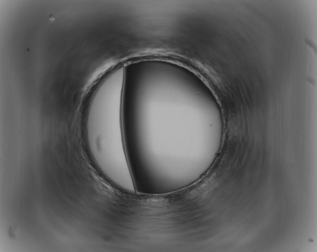 X0000092061406200709120956