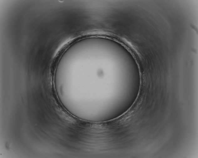 X0000092061408200709120956