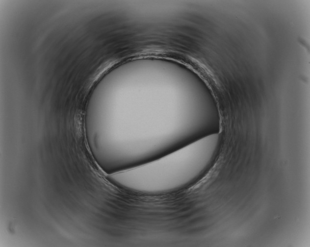 X0000092061409200709120956