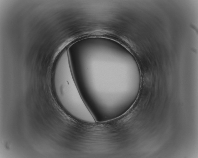 X0000092061410200709120956