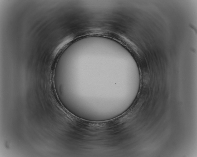 X0000092061411200709120956