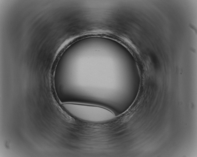 X0000092061412200709120956