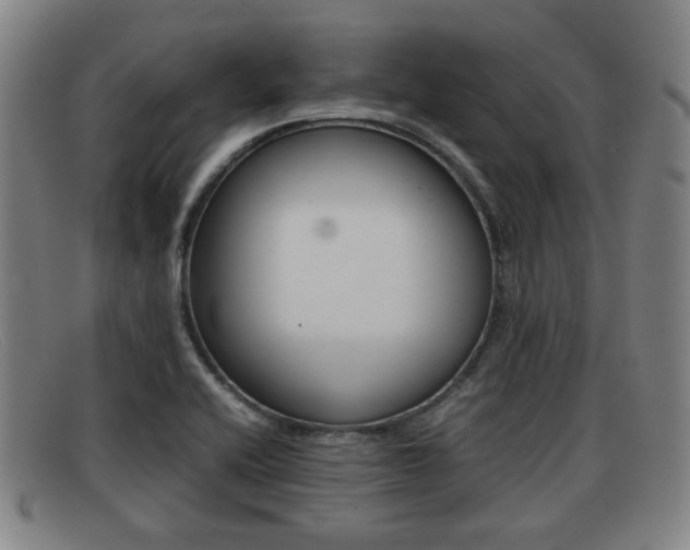 X0000092061416200709120956