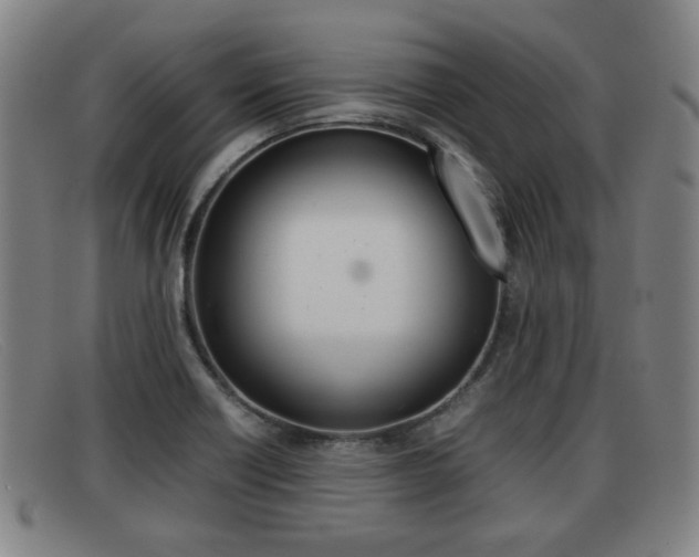 X0000092061418200709120956