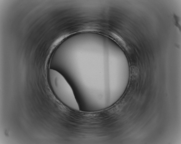 X0000092061419200709120956