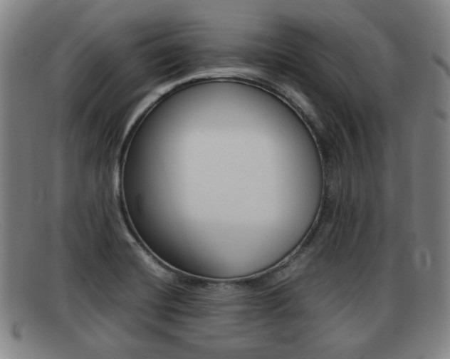 X0000092061420200709120956