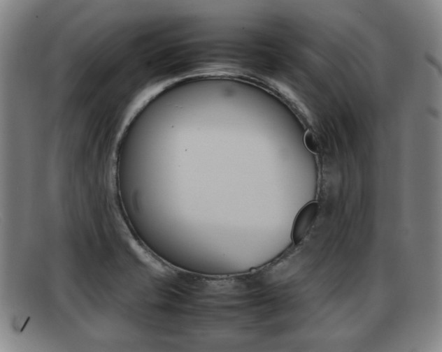 X0000092061421200709120956