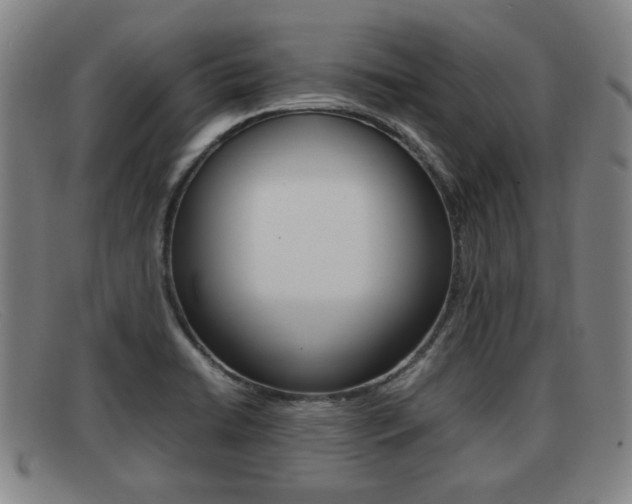 X0000092061422200709120956