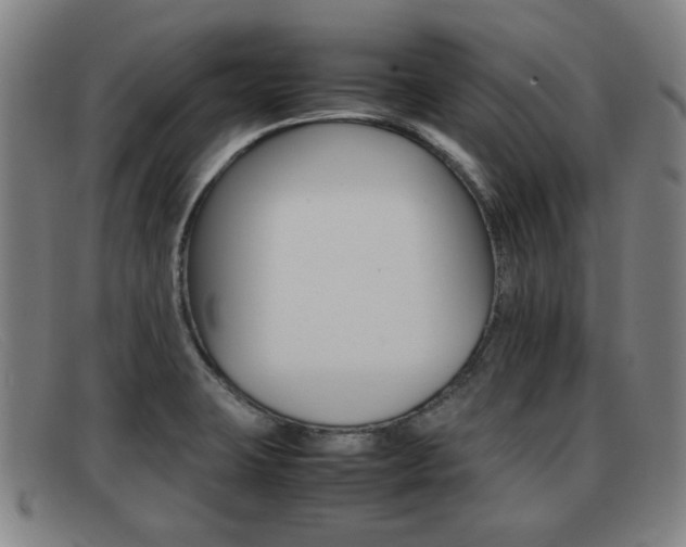 X0000092061423200709120956