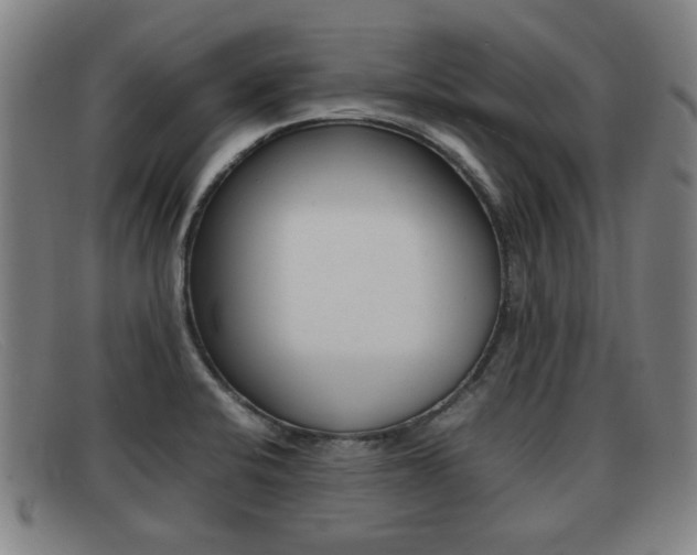 X0000092061424200709120956