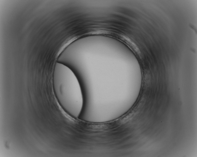 X0000092061425200709120956