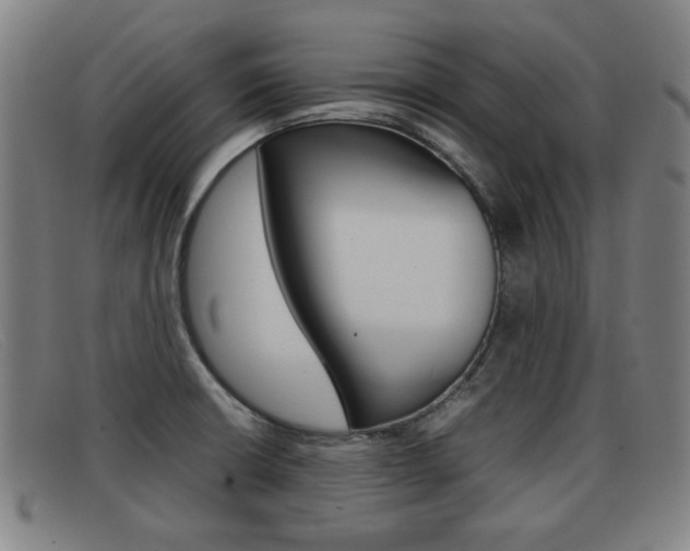 X0000092061426200709120956