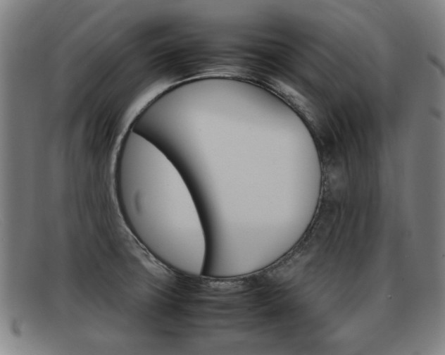 X0000092061427200709120956