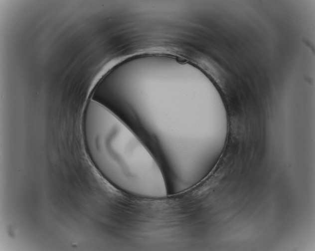 X0000092061428200709120956
