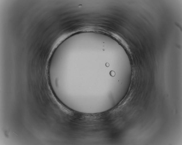 X0000092061429200709120956