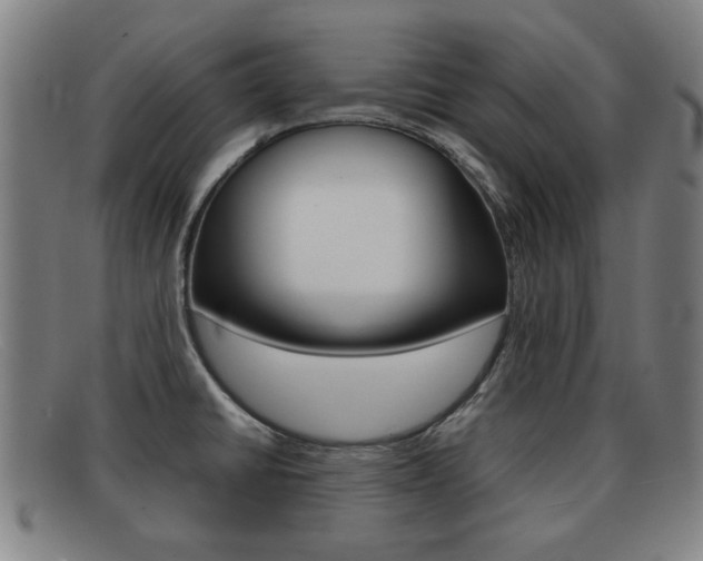 X0000092061430200709120956