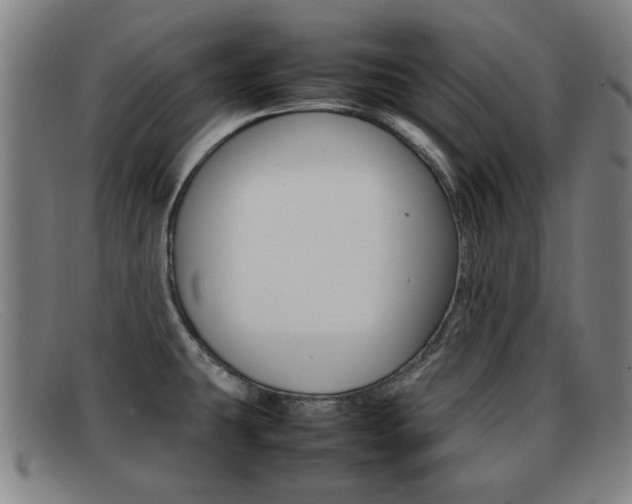 X0000092061431200709120956