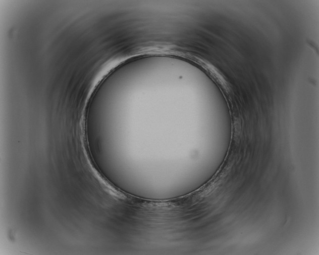 X0000092061432200709120956