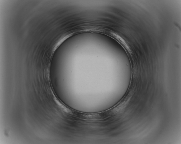 X0000092061433200709120956