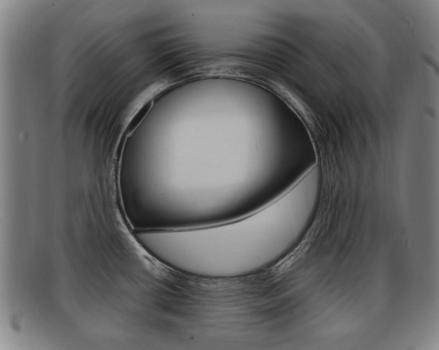 X0000092061434200709120956