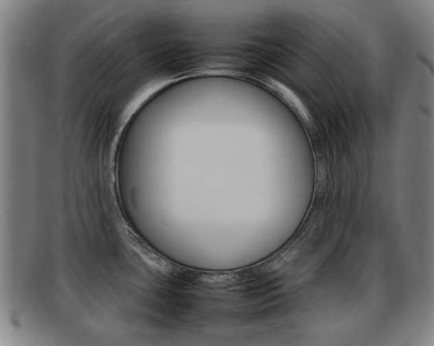 X0000092061435200709120956