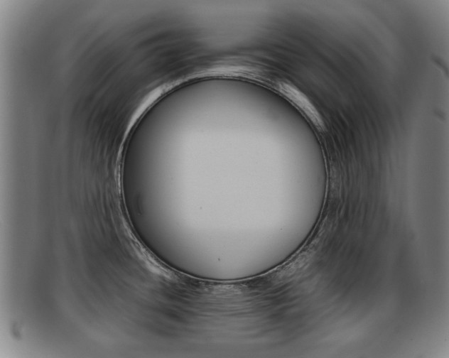 X0000092061436200709120956