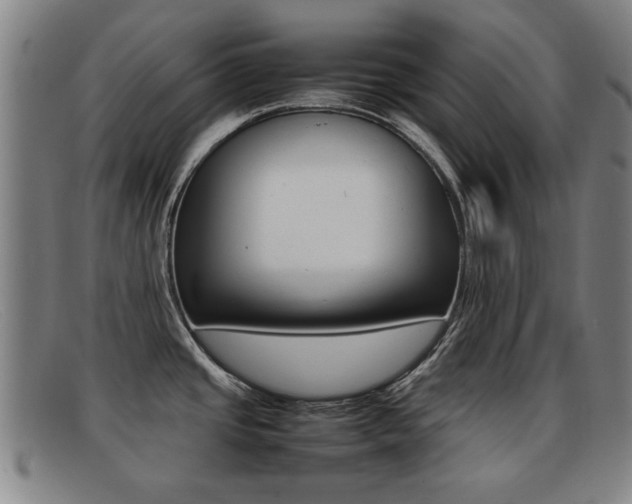 X0000092061437200709120956