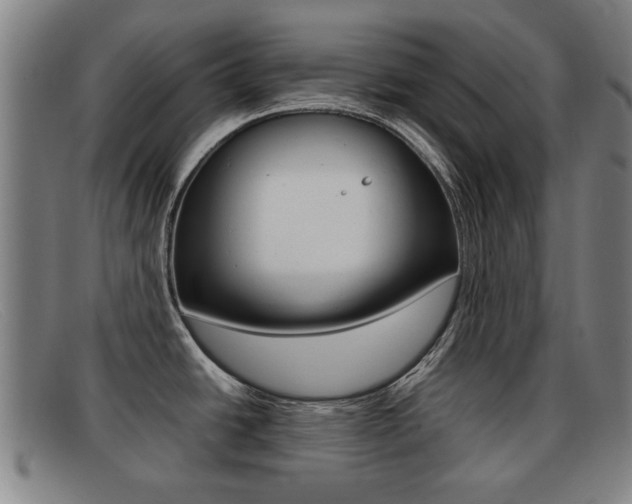 X0000092061438200709120957